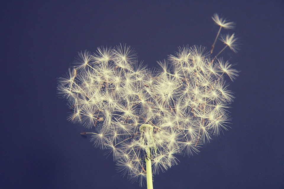Nice picture to thank you ;-)